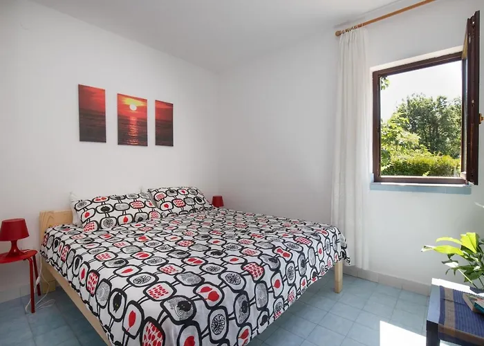 Brankica 3*